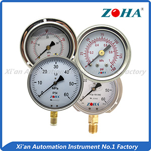 Pressure Gauge Series