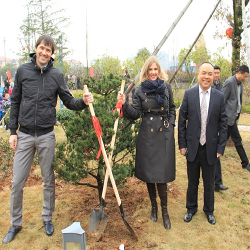 International experience 