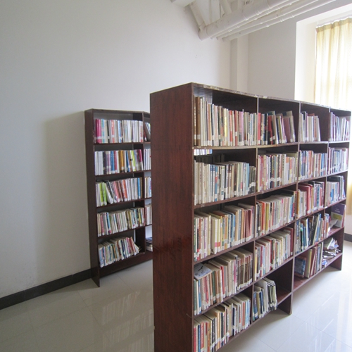 Company library 