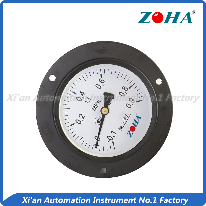 Economy Pressure Gauge--Back Panel Mounting