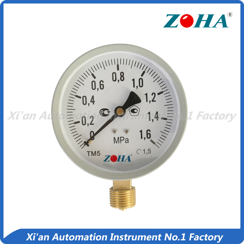 Most Economic pressure gauges for 100mm diameter