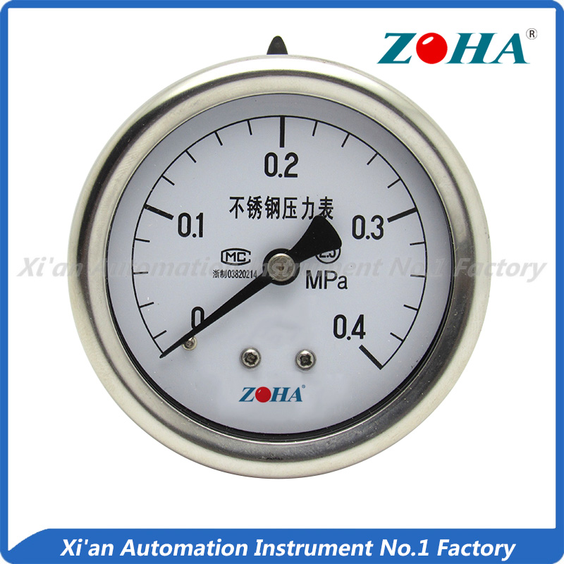 Stainless Steel Pressure Gauge--Back Mounting