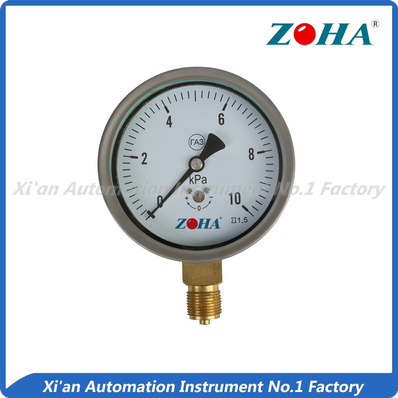 YE-100B Capsule Pressure gauge