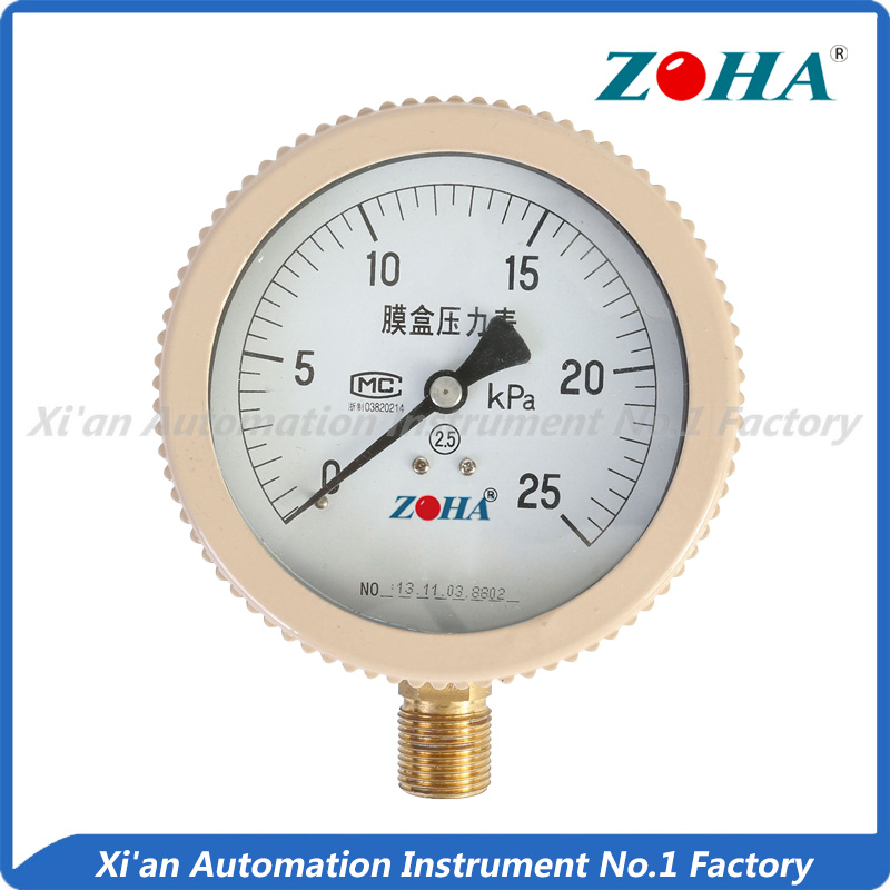 YE-100 Capsule Pressure gauge