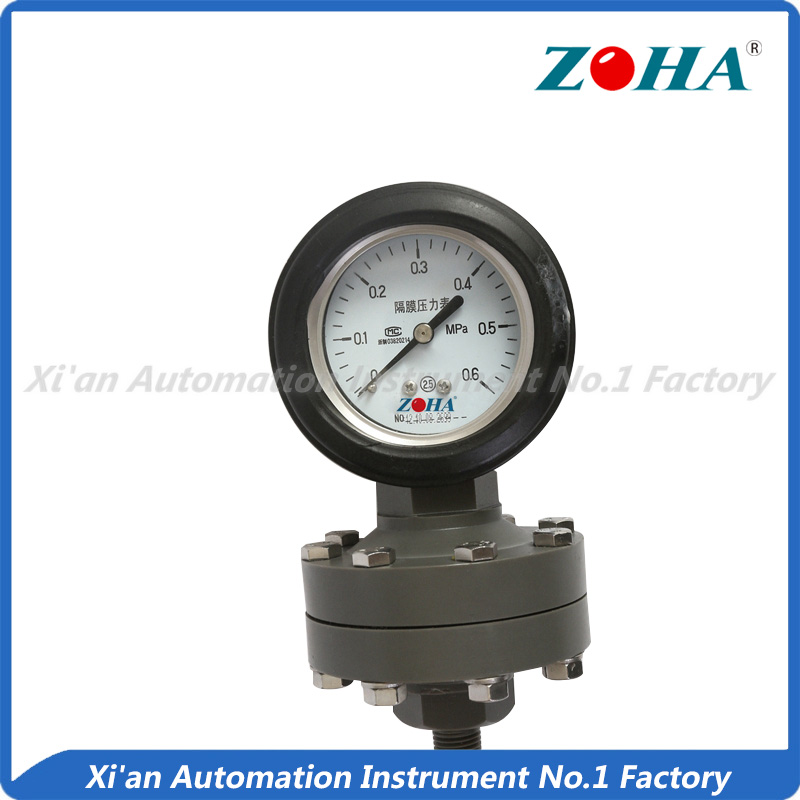 Full plastic diaphragm pressure gauge