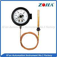 WTZ,WTQ electrical pressure pointing thermometer